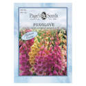 Cream/Carmine/Purple/Pink/White Summer To Fall Bloom Excelsior Foxglove Flower Seed   