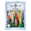 Blue/Pink/Salmon/White/Yellow Summer Bloom Russell Perennial Lupins Flower Seed   