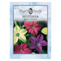 Mixed Colors Nicotiana Flower Seed