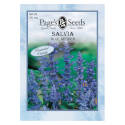 Blue/Violet Summer To Fall Bloom Blue Bedder Salvia Flower Seed     