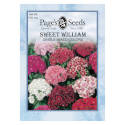 Red/Pink/White Spring/Summer Bloom Sweet William Flower Seed    