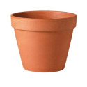 6-Inch Terracotta Standard Clay Pot