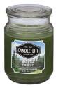 Everyday, 18-Ounce, Balsam Forest, Jar Candle