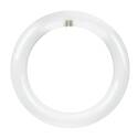 22-Watt Equivalent T9 G10Q Cool White Non-Dimmable Circular LED Linear Light Tube, 1-Pack