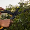 Woodland Tools 5207428 