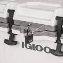 IGLOO® 49829 