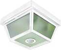White Motion Activated Ceiling Light