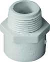 3/4-Inch PVC Pipe Adapter