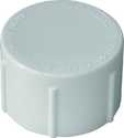 1-Inch PVC Dome Shaped Top Pipe Cap