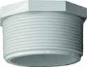 MPT PVC Plug, 2"