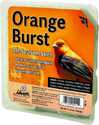 All Season Orange Burst Suet 11.25 oz