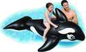 Whale Ride On