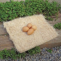 Petmate® 7029162 