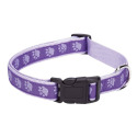6 To10 Inch, Purple Two Tone, Pawprint Collar