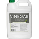 1-Gallon Vinegar Weed And Grass Killer