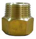 3/4-Inch X 1/2-Inch Brass Hose-To-Pipe Fitting