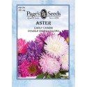 Aster Early Charm Double Mixed Colors