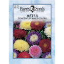 Aster Powderpuff Mixed Colors