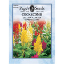 Cockscomb, Plumosa Mixed Colors