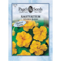 Nasturtium, Golden Gleam
