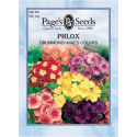 Phlox, Drummondi Tall Mix