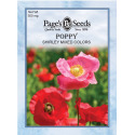 Poppy, Shirley Single Mixed Colors