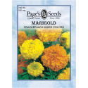 Marigold, Crackerjack Mixed Colors