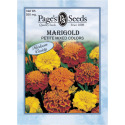Marigold, Petite Mixed Colors