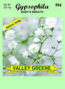 Valley Greene Flower Seeds, Assorted, Each