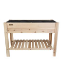 47.5 X 22 X 33-Inch Cedar Elevated Garden Planter With Liner And Shelf