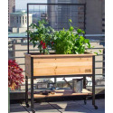 4 X 2-Foot Deluxe Cedar Elevated Garden Planter With Trellis And Liner