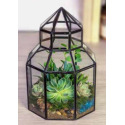 Glass Conservatory Terarrarium