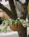 14 in Painted Grower Hanging Basket with Chain Green