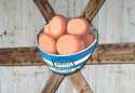 Bowl Of Eggs Metal Farmers Market Sign