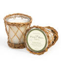 12-Ounce Citrus Grove Willow Candle
