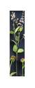 25-Inch Crafted Blooming Basil Stem