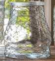 10-Inch Collection Jar With Chicken Wire