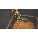 BOSS BUCK BB-SF600SLEDK 