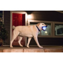 Outward Hound® PLD68805 