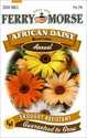African Daisy Mixed Seeds