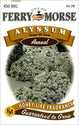 Alyssum Carpet Snow Seeds