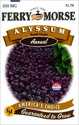 Alyssum Royal Carpet Seeds