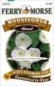 Moonflower White Seeds
