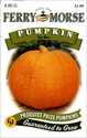 Pumpkin Big Max Seeds