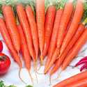 Carrot Long Imperator