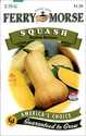 Squash Waltham Butternut Seeds