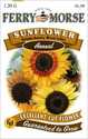Sunflower Autumn Be Seeds