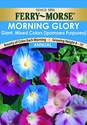 Morning Glory Seed, Assorted Options Available