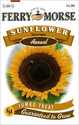 Sunflower Skyscraper Seeds