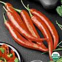 Organic Pepper Cayenne Long Slim Seed